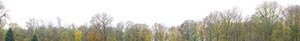 %_tempFileNameBAUMREIHE%2006%