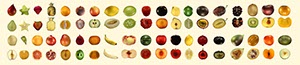 %_tempFileNameCollection_36%
