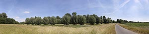%_tempFileNameFlittard%20Kopfweiden%