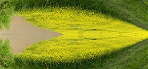 %_tempFileNameacker%20spiegelung%202%