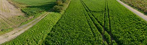%_tempFileNameacker%20wege%20kreutzen%