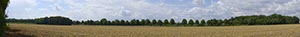 %_tempFileNameallee%20mit%20feld%