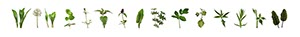 %_tempFileNameam_Waldrand%