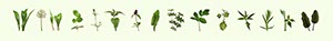 %_tempFileNameam_Waldrand_02%