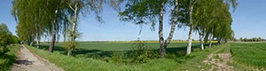 %_tempFileNamebirkenallee%