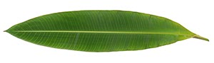 %_tempFileNameblatt%20002%