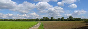 %_tempFileNamefeld%20mit%20welt%20und%20weg%