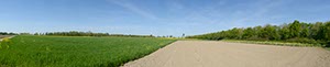 %_tempFileNamefelder_mit_hochsitz%