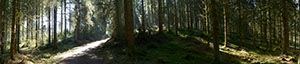 %_tempFileNamegschwendwald%20005%