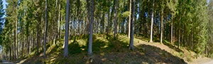 %_tempFileNamegschwendwald%
