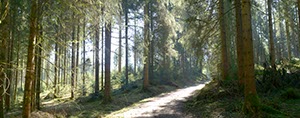 %_tempFileNamegswendwald%20004%