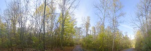%_tempFileNameheller_wald_11%