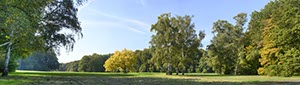 %_tempFileNameherbst_mit_gelbem_baum%