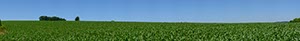 %_tempFileNamemaisfeld%20004%