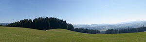 %_tempFileNameschweineburg%202%