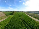 %_tempFileName5%20wege%