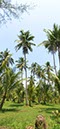 %_tempFileNameDSC_8229%20Panorama%