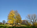 %_tempFileNameEWE4886%20Panorama%