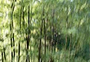 %_tempFileNameEsmecke%20Wald%203%