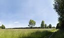 %_tempFileNameFlittard%20Sommerwiese%202%
