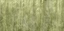 %_tempFileNameFloral%20Wischtechnikocker%