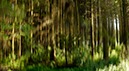 %_tempFileNameHilbringse%20ald%2012%