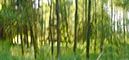 %_tempFileNameHilbringse%20wald%2010%