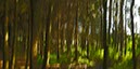 %_tempFileNameHilbringse%20wald%2014%