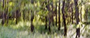 %_tempFileNameHilbringse%20wald%208%