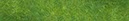 %_tempFileNameKleewiese%201%