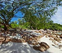 %_tempFileNamePano_06_07%