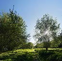%_tempFileNameRheinweg%203%