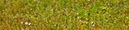 %_tempFileName_CMC5846%