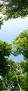 %_tempFileName_EWE6243%20Panorama%