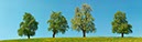 %_tempFileName_MC26069%20Panorama%