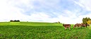 %_tempFileNameallgau%20weide%