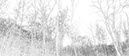 %_tempFileNamebirken_SW_002%