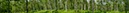 %_tempFileNamebirkenwald%20breit%