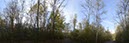 %_tempFileNamebirkenwald_dunkel1%