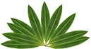 %_tempFileNameblatt%20rad%