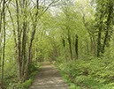 %_tempFileNamebuchenwald_001%