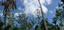 %_tempFileNamecuba_sky_2%