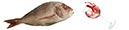 %_tempFileNamedorade%20mit%20wein%