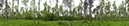 %_tempFileNamefarnwald%20lang%20005%