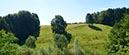 %_tempFileNamefeld%20wald%20wiese1%