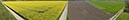 %_tempFileNamefeld_mit_jogger%