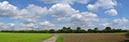 %_tempFileNamefeld_weg_wolke%