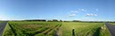 %_tempFileNamefelder%20mit%20schatten%