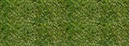 %_tempFileNamegaensebluemchenwiese%2002%20K%