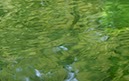 %_tempFileNamegruene%20wasserwirbel%20%
